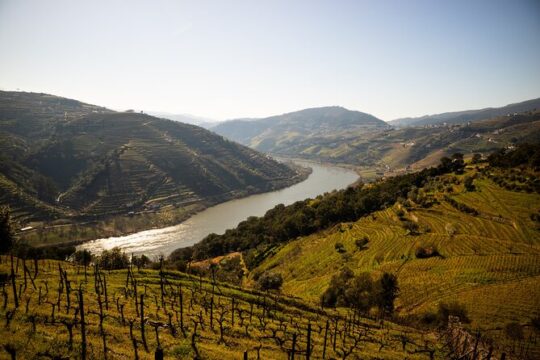 Douro Valley Wine Diversity Full Day Private Tour