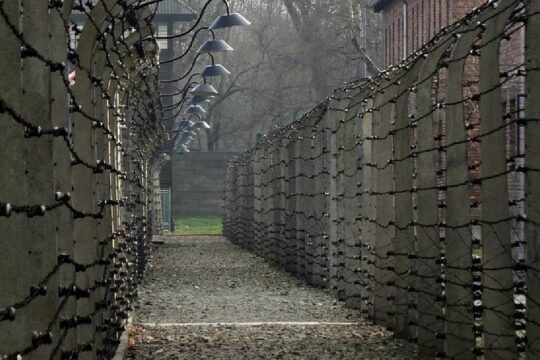 Full-Day Tour of Auschwitz-Birkenau and Salt Mine from Krakow