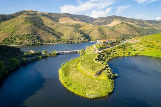 Private Douro Valley - Senses Experiences