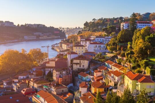 Half-Day Private Port Wine Tour Experience from Porto