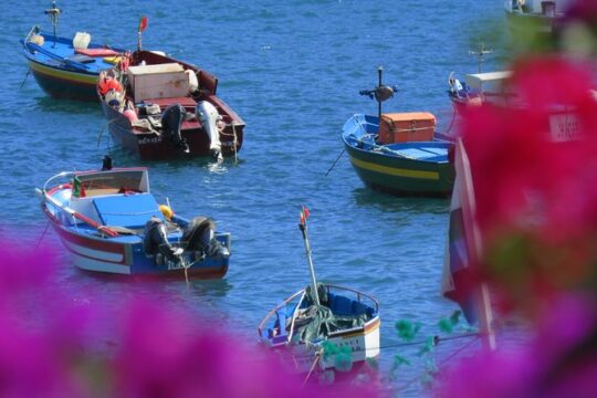 Madeira Sea Cliff and Camara de Lobos 4WD Half Day Tour