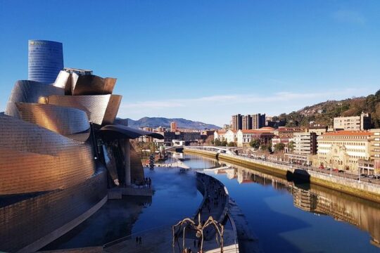 Guided tour of the Guggenheim Museum Bilbao in Spanish