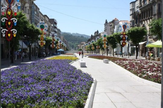 Private tour to Ponte de Lima, Vinho Verde region