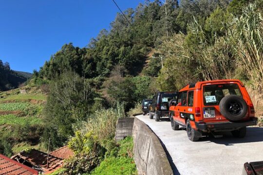 Madeira Safari - East of the island