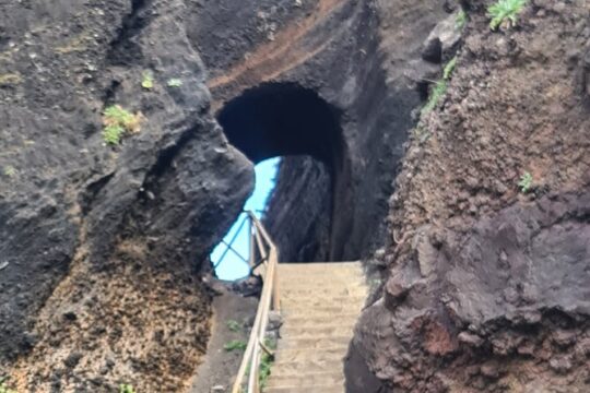 Private Full Day Island Tour in Madeira