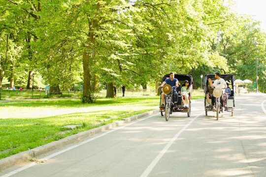 Central Park Private Pedicab Tour