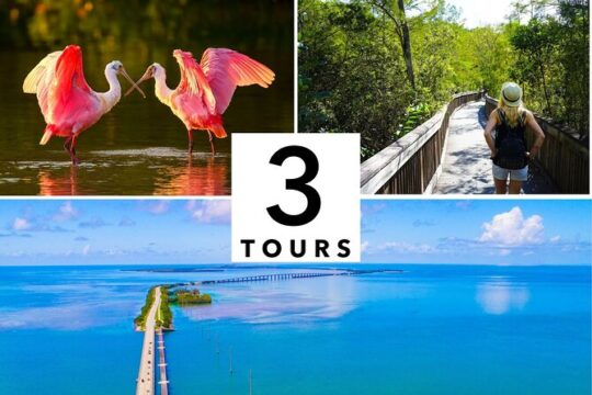 Florida Audio Tour Bundle - 3 Private Sightseeing Tours