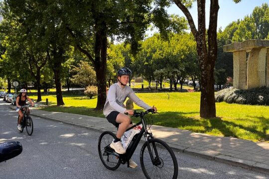 Private Electric Bike Tour in Oporto