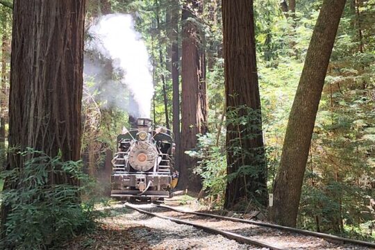 Train Ride Adventure through Mother Natures Giant Redwoods Park