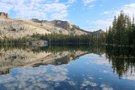 Yosemite and Kings Canyon National Park 2 Day Tour from LA