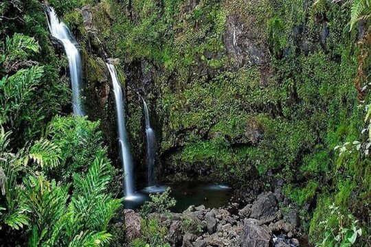 Deluxe Road to Hana Rainforest and Waterfall Experience from Maui