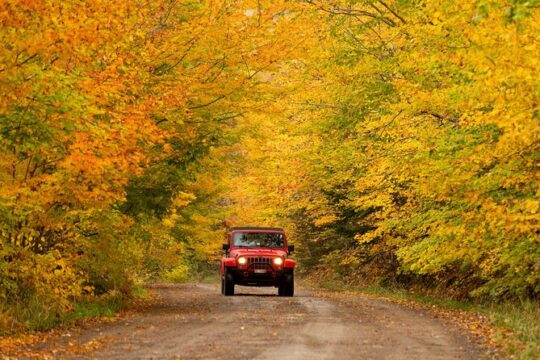 Cape Breton Fall Colours Tour On and Off Road