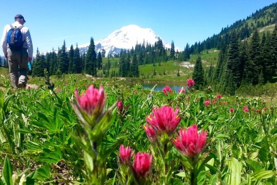 2 Day Mt Rainier All-Inclusive Small Group Tour