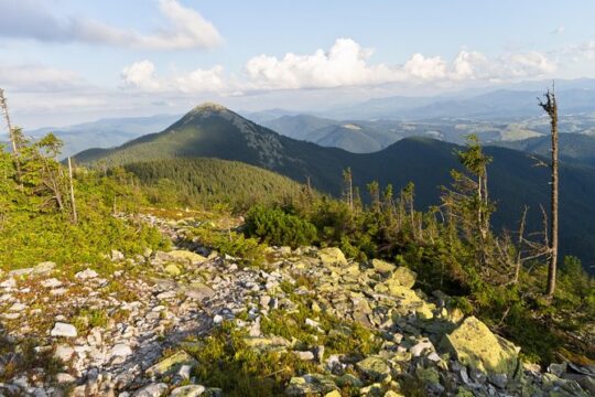 Wild Carpathians: discovering Gorgany (private tour)