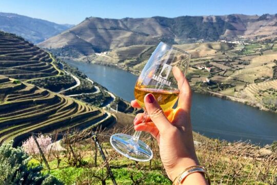 Private Douro Tour with Lunch Wine Tasting Boat and Train Cruise