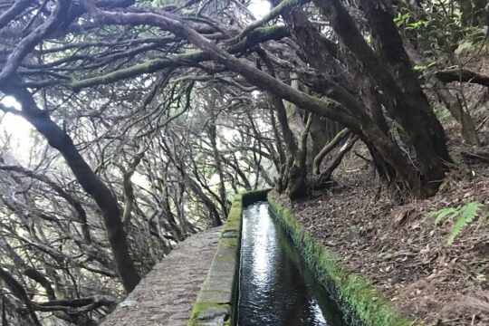 Twenty-five Fountains levada walks