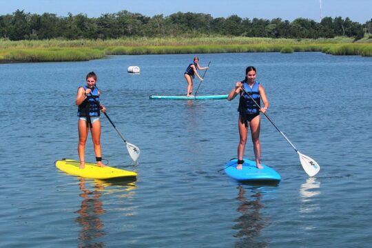 Stand Up Paddleboard Rental