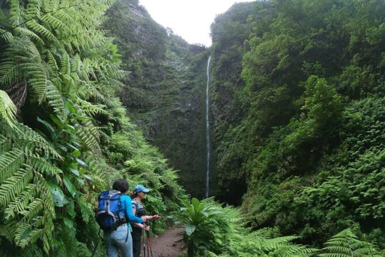 Caldeirão Verde Levada (PR 9) - Guided Madeira Levada Walk