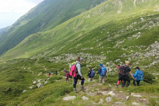 PRIVATE, EASY Day Hike in Carpathian Mountains