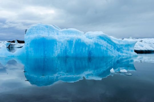 Wilderness, Wildlife, Glacier Experience - Homer