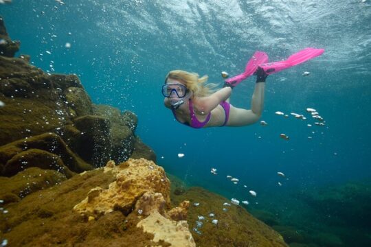 Champagne Reef Snorkeling Tour at Champagne Beach in Dominica