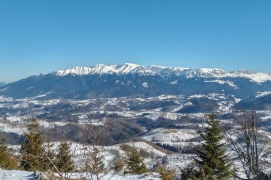 Rambling in Transylvania