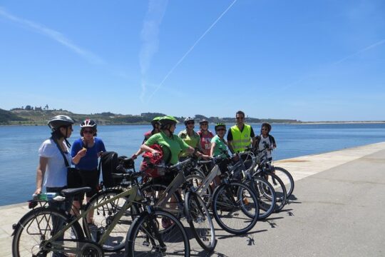 Porto Bike Tour Wine and Gastronomy