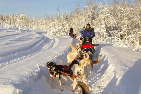 Husky Ride Private Tour from Krakow