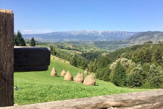 PRIVATE Day Hike on rollings hills near Bran Castle, through mountain villages