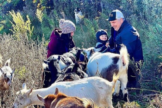 Haute Goat Shmurgle in Ontario