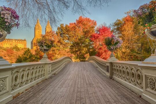 Self Guided Central Park Scavenger Hunt