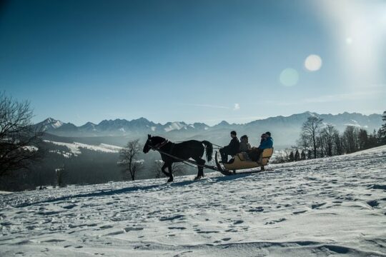 Zakopane and Horse Sleigh Ride in the countryside, private tour from Krakow