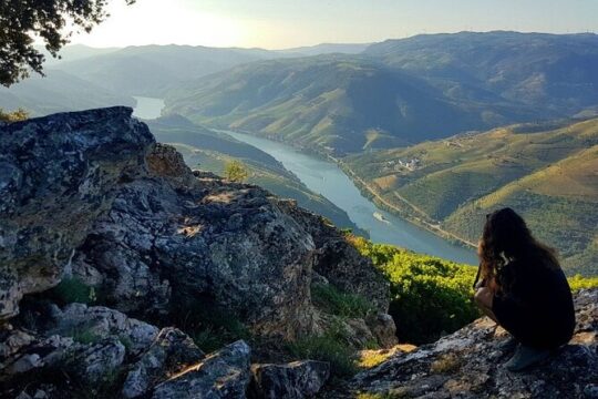 Private Premium Douro Tour