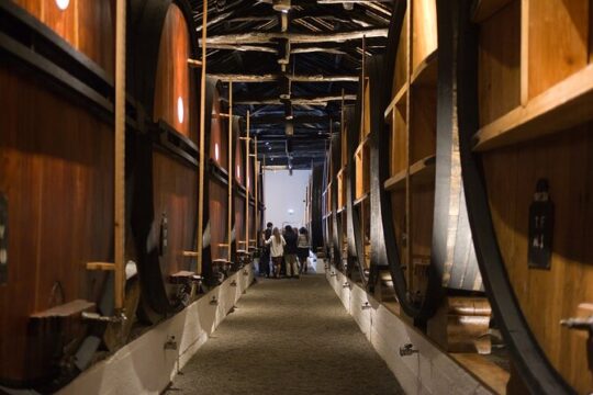 Experience Port Wine Tasting Tour in two Cellars