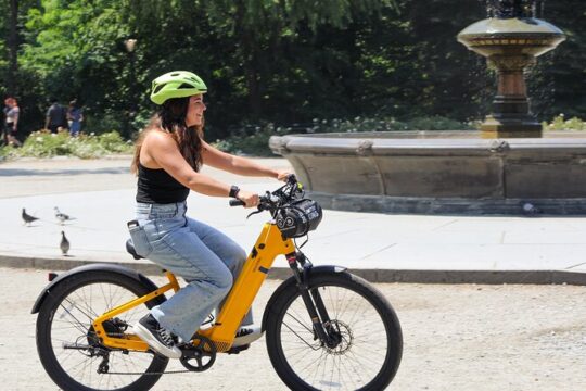 NYC: Central Park and Lower Manhattan Electric Bike Rentals