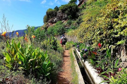 Levada Serra D´Agua