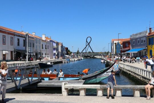 Private day trip from Porto to Aveiro, Coimbra and back