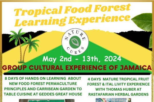 NatureCures Tropical Food Forest 12 Day Group Experience