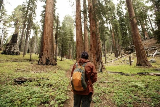 California Parks Highlights Tour San Francisco to Los Angeles