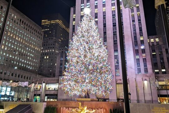 NYC Holiday Lights Tour