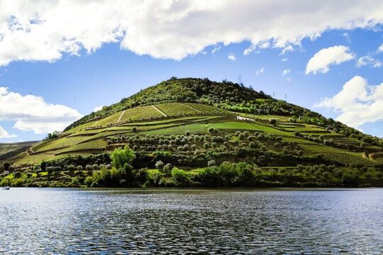 Douro | Roots & History - Tour with a local