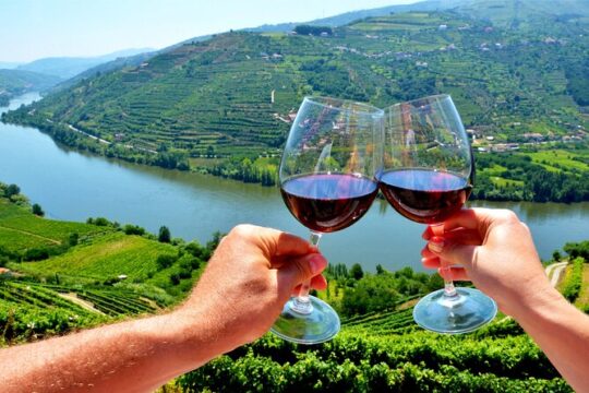 Douro Valley Private Wine Tour full day