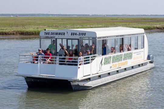 Salt Marsh Safari Birding and Wildlife Cruise on The Skimmer