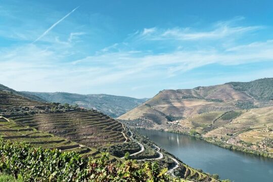 Discover Authentic Douro Tour