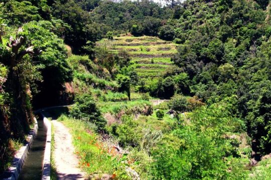 Levada dos Maroços