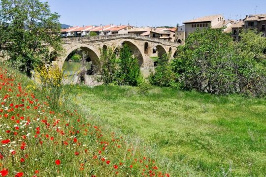 Private "Camino de Santiago" (The Way Of St. James) ORIGINAL WAY from Lugo