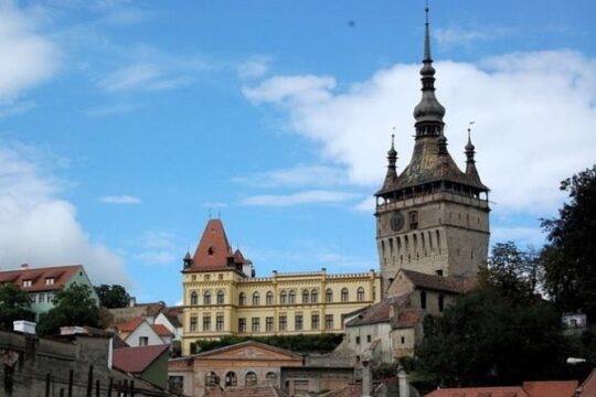 Chauffeur Service in Brasov