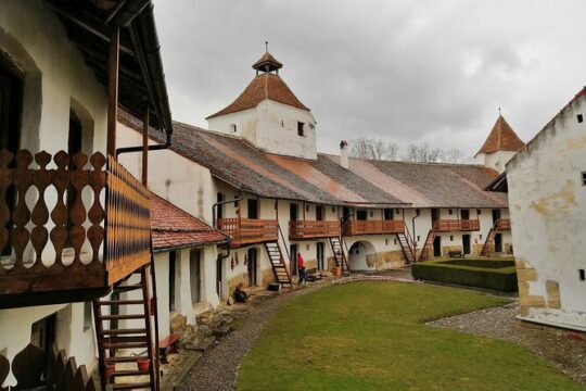 Harman and Prejmer Fortified Churches Tour from Brasov