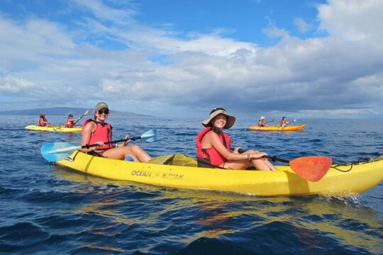 4 Hour Makena Whale Watch Tour