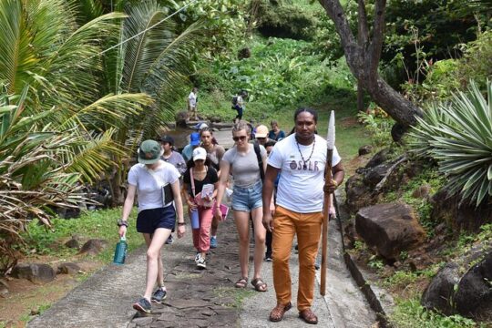 Cultural Tours Of Kalinago Territory of Dominica with Past Chief